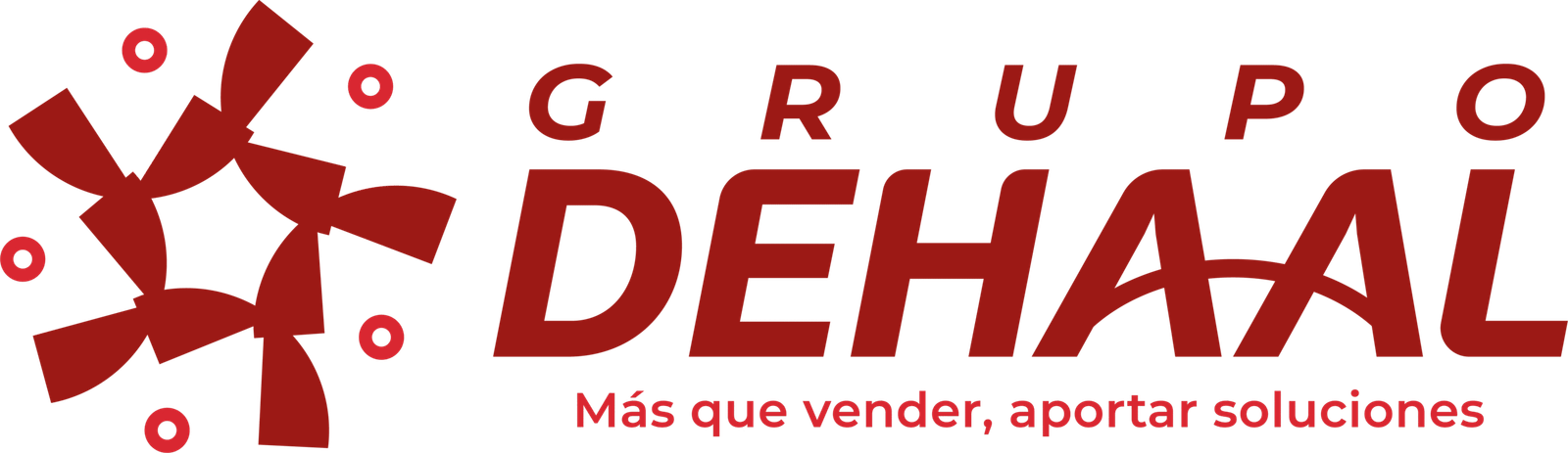 Grupo Dehaal